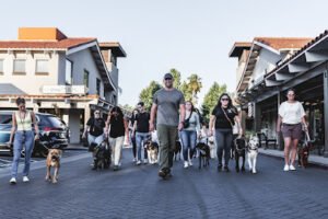 Inclined Canine Academy