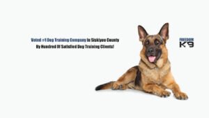 Freedom K9