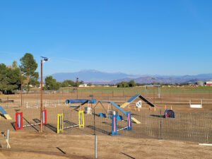 Menifee Dog Sports