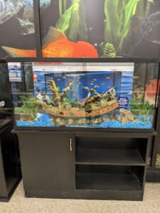PetSmart Dog Training