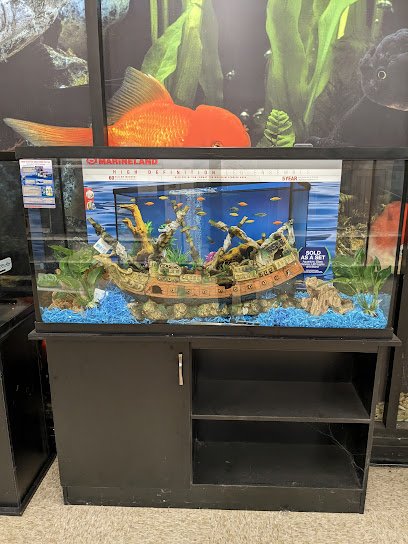 PetSmart Dog Training