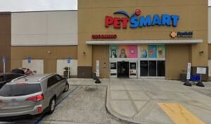 PetSmart Dog Training
