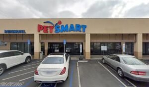 PetSmart Dog Training