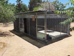 Wolfgang Expert Dog Training Palmdale