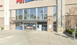 PetSmart Dog Training