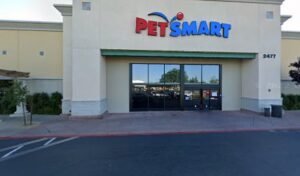 PetSmart Dog Training