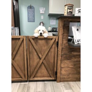Best Buddies Pet Care