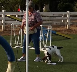 Astro’s Agility Academy