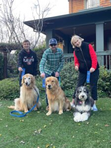 Bee Positive Dog Training