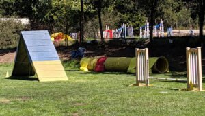 Heart Dog Agility
