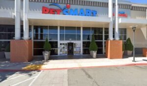 PetSmart Dog Training