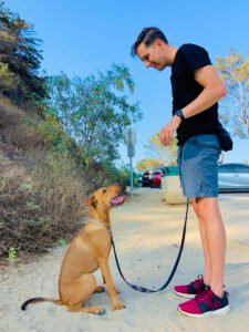 Pat’s Pack Dog Training