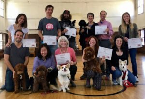 Bravo Pup Social