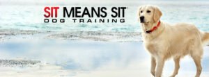 Sit Means Sit Dog Training – Orange County Coastal