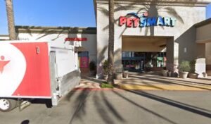 PetSmart Dog Training
