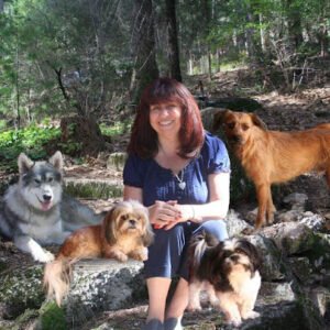 Paragon Dog Obedience