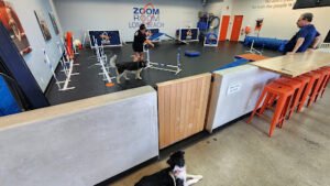 Zoom Room Dog Training