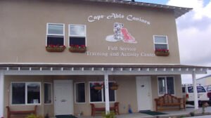 Cape-Able Canines