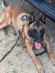 I Heart K9