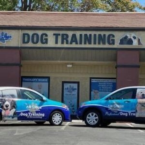 All Stage Canine Development