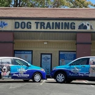 All Stage Canine Development