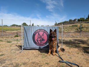 Cooperhaus K9
