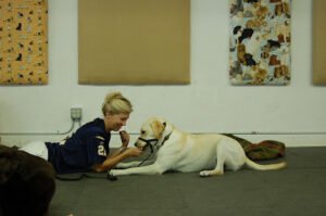 The Educated Pet