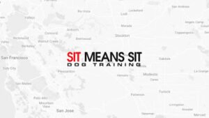 Sit Means Sit Dog Training – Modesto