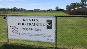 K-9 S.O.S. Dog Training