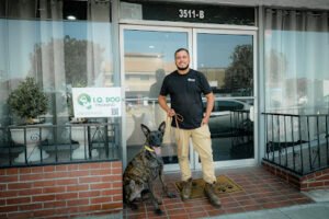 IQ Dog Training
