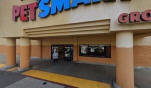 PetSmart Dog Training