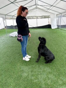 Performance K9 Training Centre