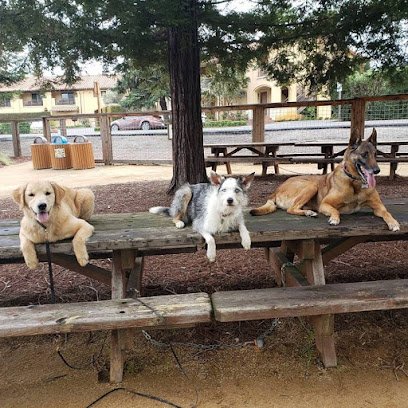 NexGen K9 Training