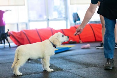 Joybound Training