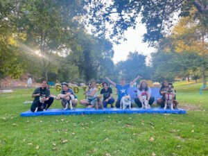 Good Dog K9 Training and Services¬Æ, LLC
