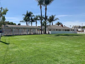 The Royal K9 Boarding, Daycare, and Training Center
