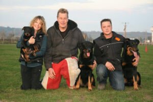 Dog Dynamics ‚Äî Dog Training Walnut Creek