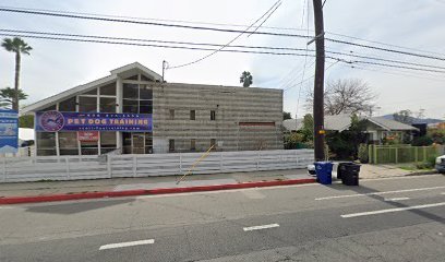 Scott-Fox Puppy Preschool