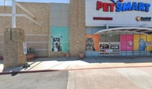 PetSmart Dog Training