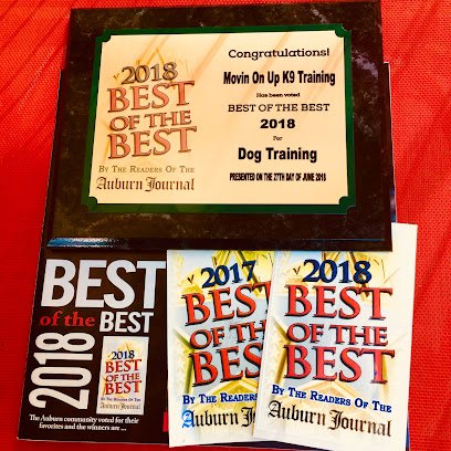 Movin On Up K9 Training