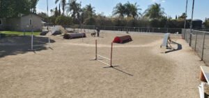CampWannaQ