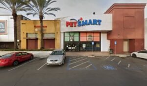 PetSmart Dog Training