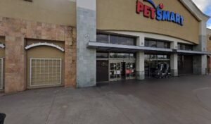 PetSmart Dog Training
