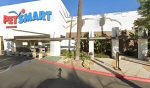 PetSmart Dog Training