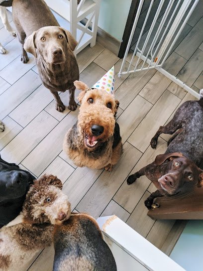 Pack Pawsitive