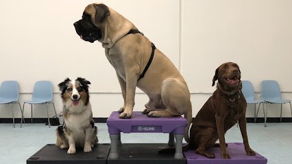 BADDogs