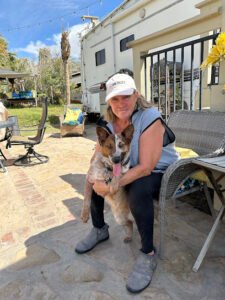 Justin Time Dog Training