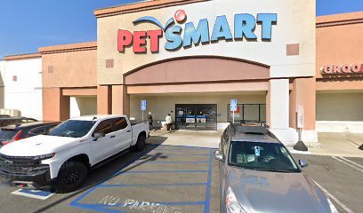 PetSmart Dog Training