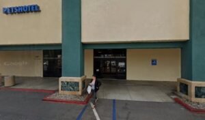 PetSmart Dog Training