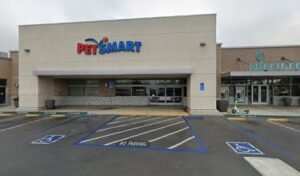 PetSmart Dog Training